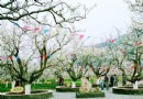 梨文化博覽園
