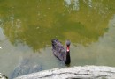 歡樂奇兵樂園