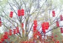 金雁湖公園
