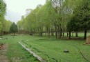 熱振國家森林公園