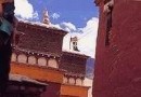 科加寺