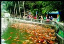 觀魚台