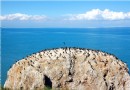 青海湖鳥島