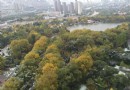 魯青水上公園