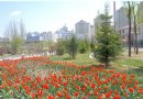 勞動公園