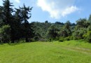 鹞子溝國家森林公園