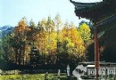 拉稍寺石窟