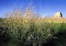 新河驿遺址