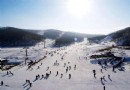 扁都口滑雪場