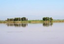 黃河外灘長河棧道