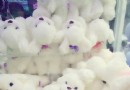 御泉灣溫泉