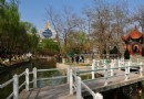 中山公園