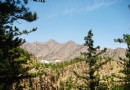 賀蘭山國家森林公園