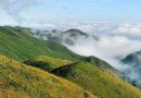 燈盞山