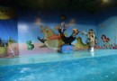 烏魯木齊海洋館