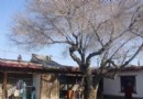巴裡坤古民宅