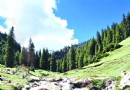 坡隴原始森林生態旅游風景區