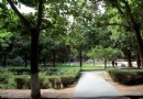 人民公園