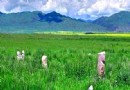 草原石人