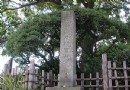 志村一裡塚