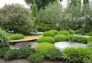 屋頂花園