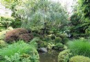藥師庭院