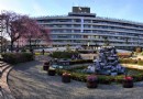 荒川公園