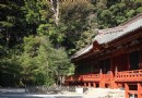 富岡八幡宮