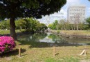 濱離宮恩賜庭園
