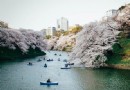 千鳥淵