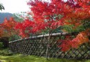 光悅寺