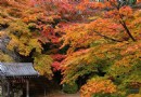 金藏寺
