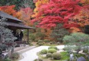 曼殊院庭園