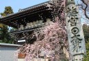 梅宮大社