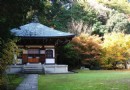 善能寺