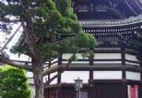 何必館