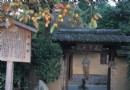 落柿捨