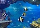 京都水族館
