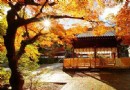 西明寺