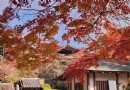 善峰寺