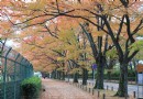 京都府立植物園