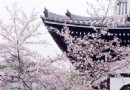 金戒光明寺