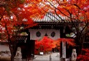 永觀堂