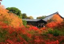 東福寺