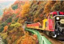 嵯峨野觀光小火車