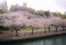 服部綠地公園