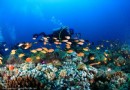 海底探險潛水學校