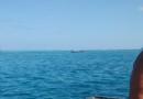 菲莉茲尤島