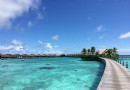 阿雅達島（阿雅達度假村）