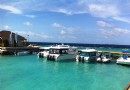 魯濱遜島（魯濱遜俱樂部）